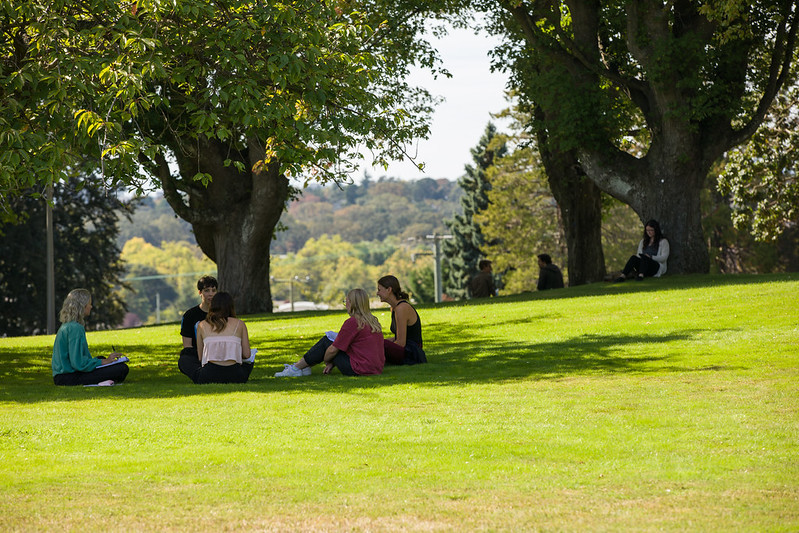 a group of students sit in the shade of a tree on the lawns of Lansdowne campus